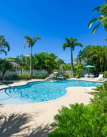 A sunny resort pool surrounded by lush palm trees, lounge chairs, and a clear blue sky, inviting a relaxing swim.